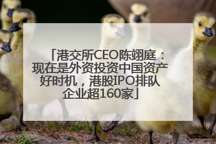 港交所CEO陈翊庭：现在是外资投资中国资产好时机，港股IPO排队企业超160家